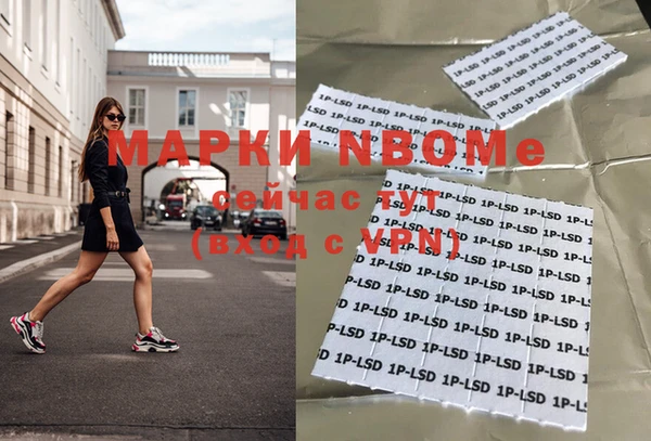 крисы Вязьма