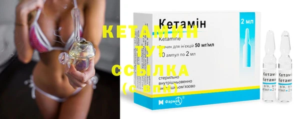 крисы Вязьма