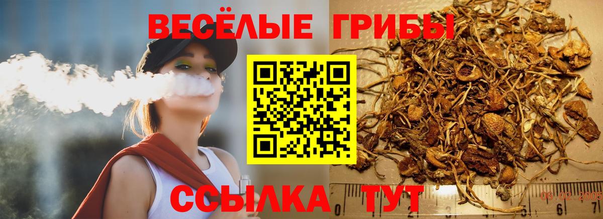 Псилоцибиновые грибы Psilocybe  Псилоцибиновые грибы ЛСД  Вход с VPN  Отрадный 