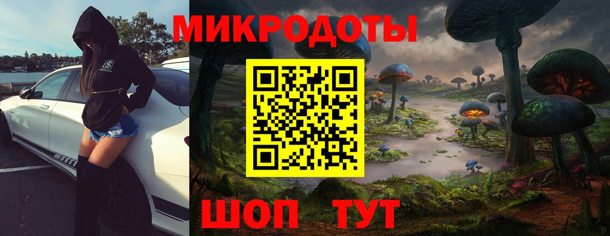 Галлюциногенные грибы Psilocybe Отрадный