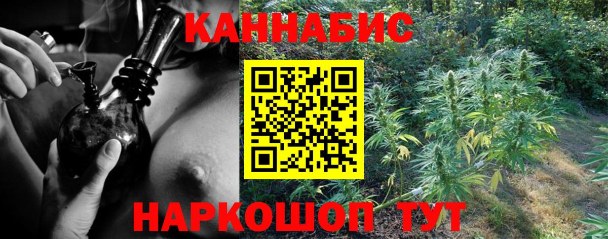 Бошки Шишки семена Отрадный